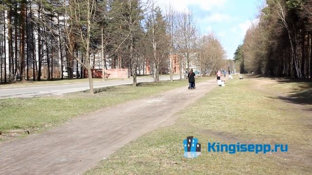 Аллея на улице Восточной в Кингисеппе - территория Любви. KINGISEPP.RU смотреть онлайн
