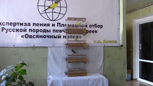 MVI 0123 Экспертиза пения и племенной отбор РППКОН 2018г. смотреть онлайн