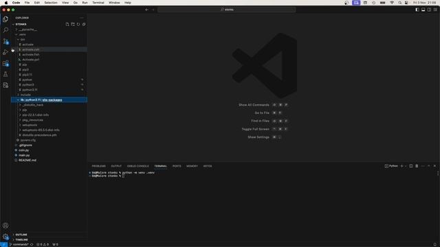 Virtual Environments and Python - a Stonks devlog смотреть онлайн