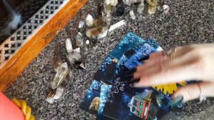 Его планы на жизнь...