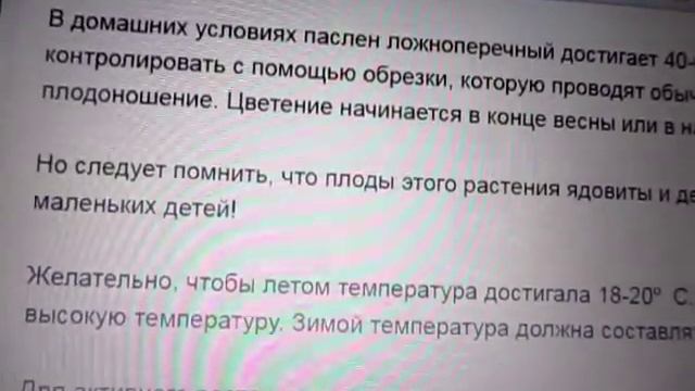 "Соланум/solanum-2. Нужно ли обрезать высокие ветки? Бывают и сморщенные плоды – почему?" смотреть онлайн