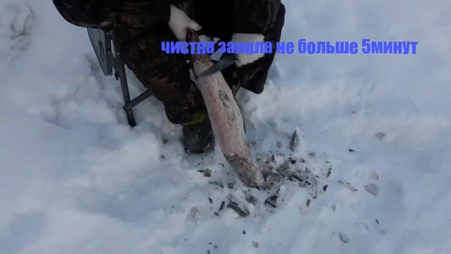 как снять шкуру с замороженной щуки смотреть онлайн