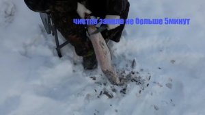 как снять шкуру с замороженной щуки