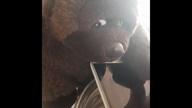 ВТОРОЕ ВИДЕО КЕЯ (МОКРЫЙ ТЕЛЕФОН) смотреть онлайн