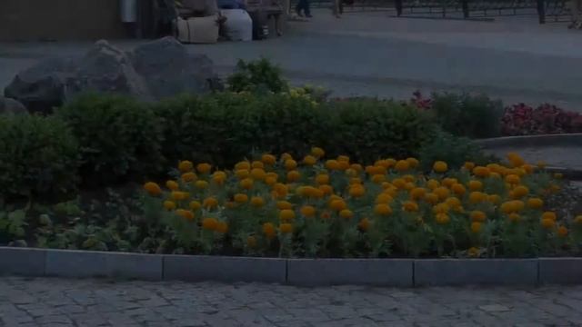 Знакомство с городом Винница смотреть онлайн