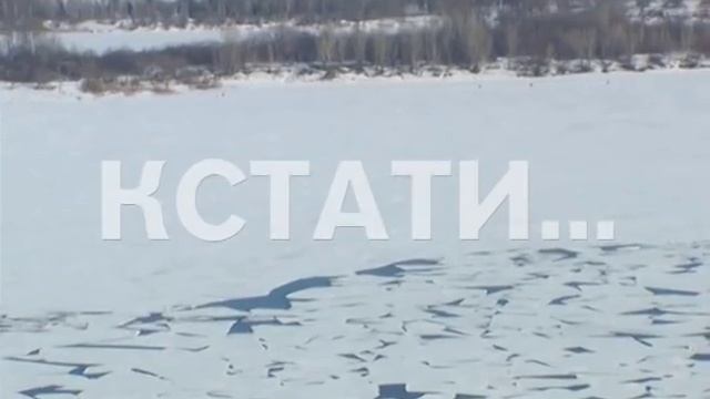 Первые признаки лета в первый день весны - бабочки появились на нижегородских улицах смотреть онлайн
