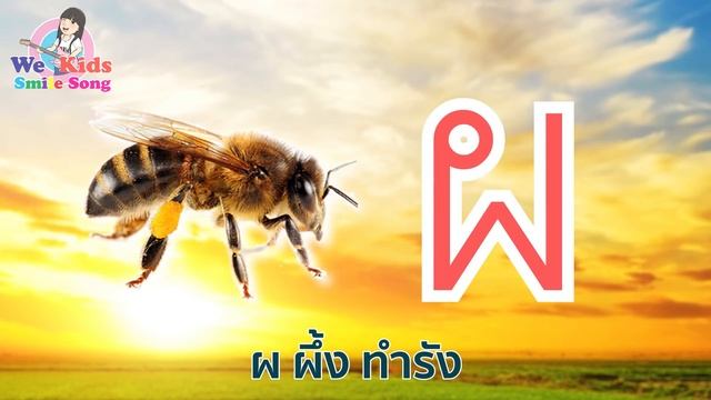 เพลง ก เอ๋ย ก ไก่ เรียนสนุกแบบดั่งเดิม I เพลงเด็กยิ้ม смотреть онлайн