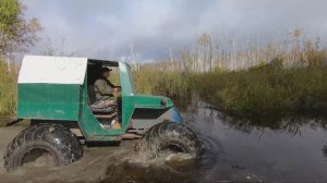 Забрались в сердце опасных Васюганских болот, чтобы там жить и добывать пищу. Рыбалка осенью