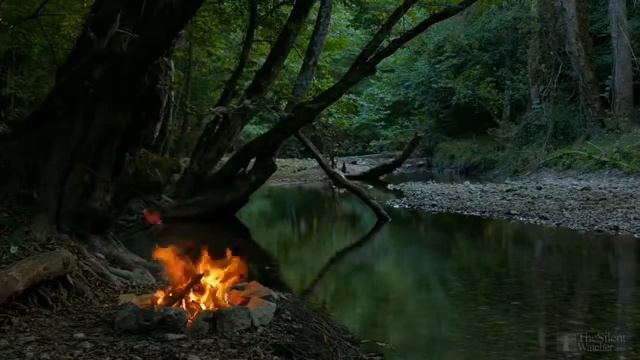 Расслабляющие звуки Костра у реки, звуки природы. HD Relaxing Music. смотреть онлайн