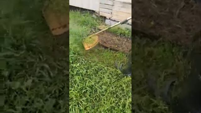 Лента бордюрная МиксГарден 100500 раз выдержит натиск лески травокосилки смотреть онлайн