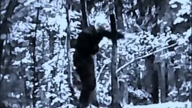 Казачья система боя ВЫР смотреть онлайн