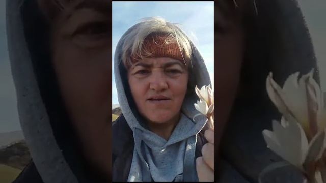 Конец ноября. Природа "заблудилась" и решила, что пришла весна смотреть онлайн