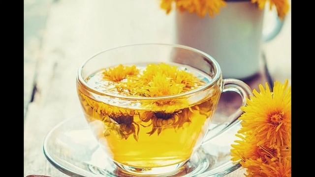 Приготовление кофе из корня одуванчика Полезные свойства одуванчика смотреть онлайн