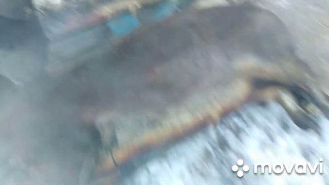 Забой поросёнка . смотреть онлайн