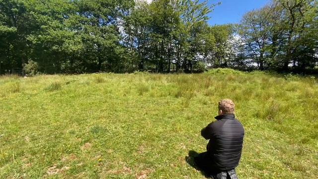 Initial Assessment Of Rocco (Working Cocker Spaniel)