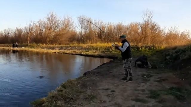 Платная рыбалка, пруд Чёрные камни 11.10.20г. Форель смотреть онлайн