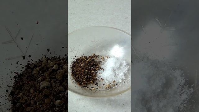 Тыква с творогом и зеленью. Рецепт намазки на бутерброды. #Shorts смотреть онлайн