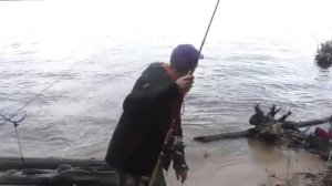 Ловля леща на Сурском водохранилище.