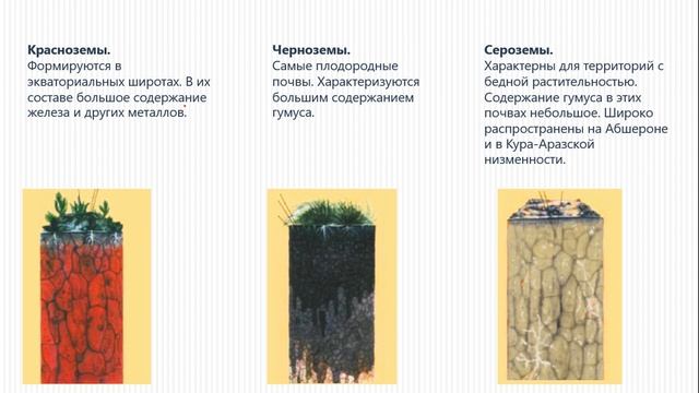 6 класс. Почва
