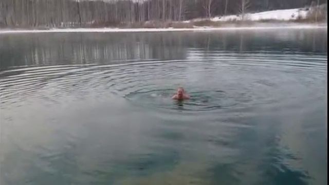 Павловские тюлени в Рождество на озере Ключик смотреть онлайн