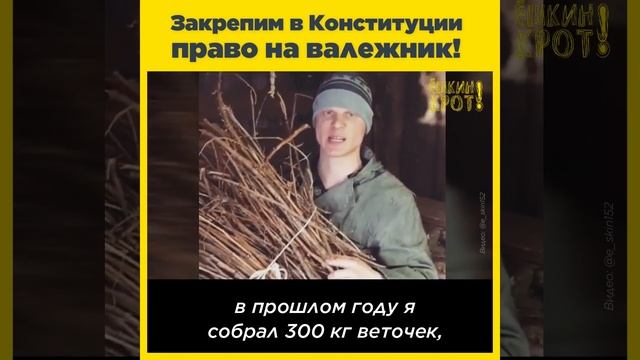 Закрепим право на валежник в Конституции! смотреть онлайн