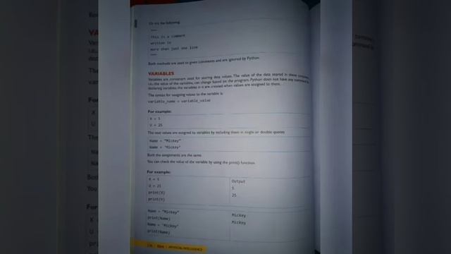 repl.it Python comments, variables смотреть онлайн
