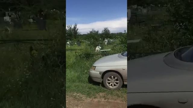 Скандал на кладбище смотреть онлайн
