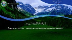 Коран Сура 16 ан-Нахль (Пчёлы) русский | Мишари Рашид Аль-Афаси