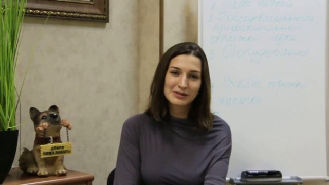 Лиля приехала учиться на грумера преодолев 8122 км. смотреть онлайн