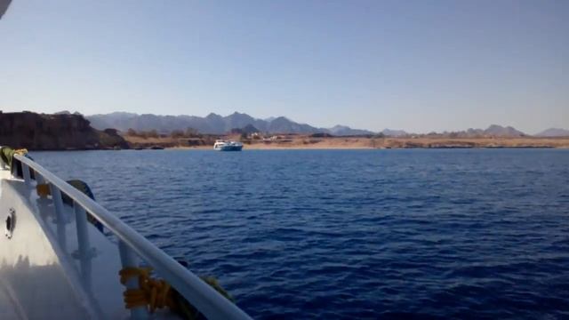 Мы плывём на красном море смотреть онлайн