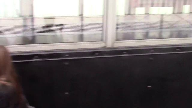 Taking The Kids To The Empire State Building With Teresa Strasser смотреть онлайн