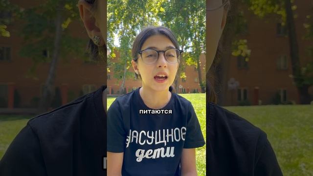 ПОЧЕМУ СКИСАЕТ МОЛОКО ? #насущное.ликбез #shorts смотреть онлайн