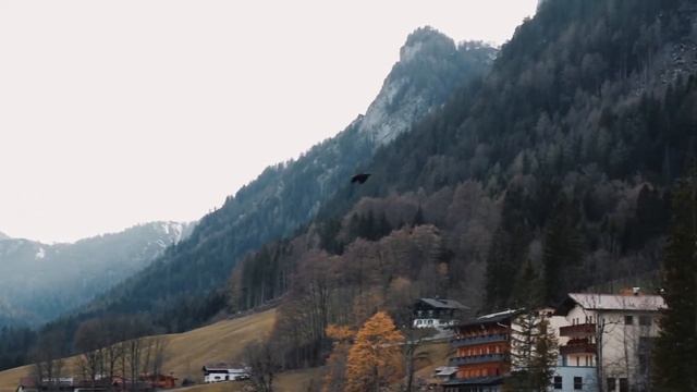 NATURAL LIFE & STYLE смотреть онлайн