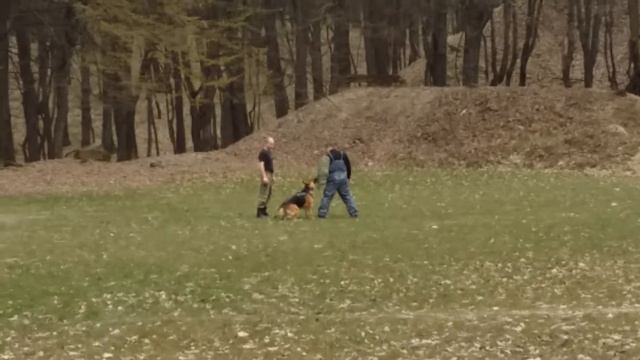 Задержание... Охрана... Конвой... Тренировка...