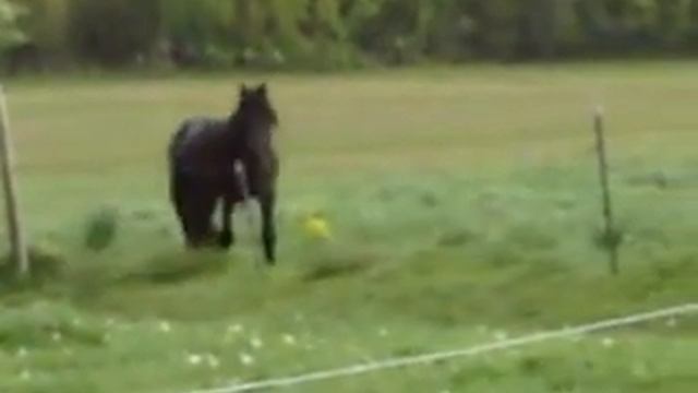 Marcel running смотреть онлайн