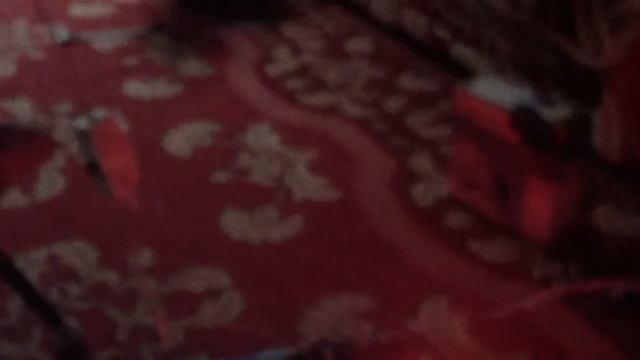 Управление RGB лентой с помощью Arduino по Bluetooth смотреть онлайн