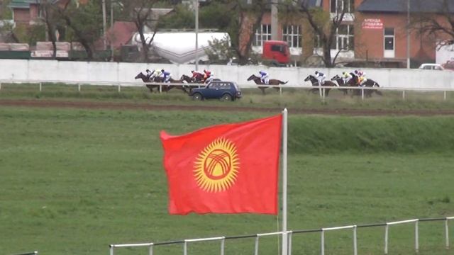 Приз Содружества (этап Средиземноморского чемпионата жокеев) (Краснодарский ипподром 2014) смотреть онлайн