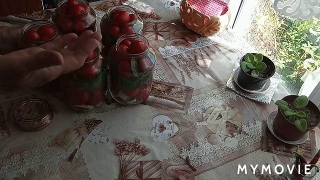 #помидорыбезуксуса Очень вкусные, маринованные помидоры! смотреть онлайн
