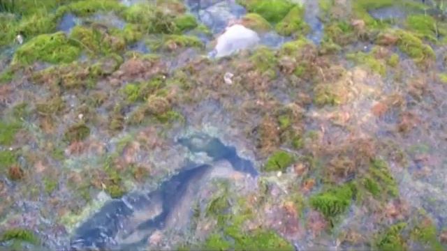 Тункинские гольцы - 2015. Версия Александра Новикова. Часть 2 смотреть онлайн