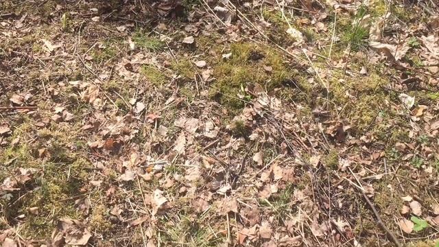 Техника релаксации смотреть онлайн