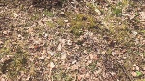 Техника релаксации