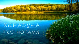 Прутик. Как в детстве. Карась у ног.