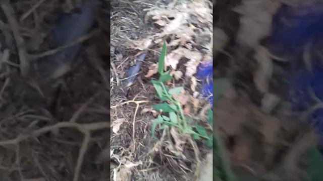 МОй Урожай сезон 2018 15 августа смотреть онлайн