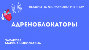 Адреноблокаторы |  Медиаторная фармакология