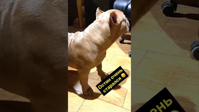 Первая "стойка" смотреть онлайн