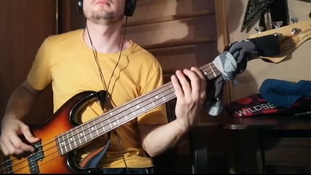 Fields Of Gold | Bass guitar смотреть онлайн