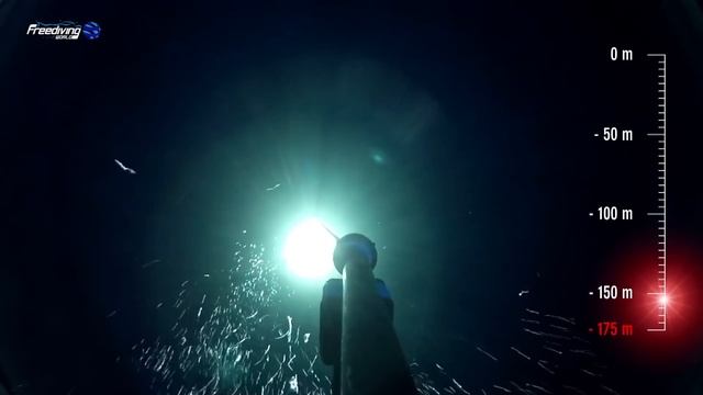 Andrea Zuccari - The deepest dive with the Mask! Andrea Zuccari - 175 mt No Limits Record Italiano смотреть онлайн