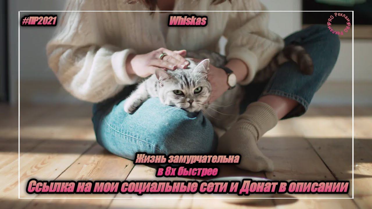 Whiskas — «Жизнь замурчательна» в 8х быстрее | PRO Рекламу | Vk.com/sd__music