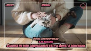 Whiskas — «Жизнь замурчательна» в 8х быстрее | PRO Рекламу | vk.com/sd__music