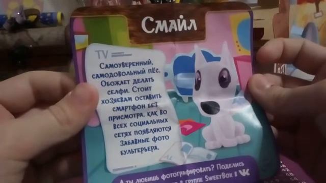 Распоковка Свитбокс пушистики 3 #SWEETBOX